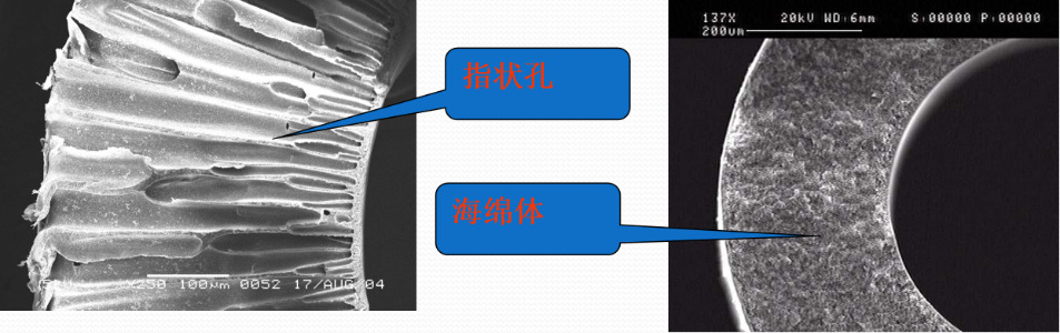 中空纖維超濾膜膜孔類(lèi)型