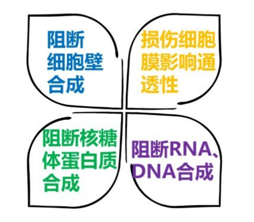 抗生素的種類(lèi)和作用機理