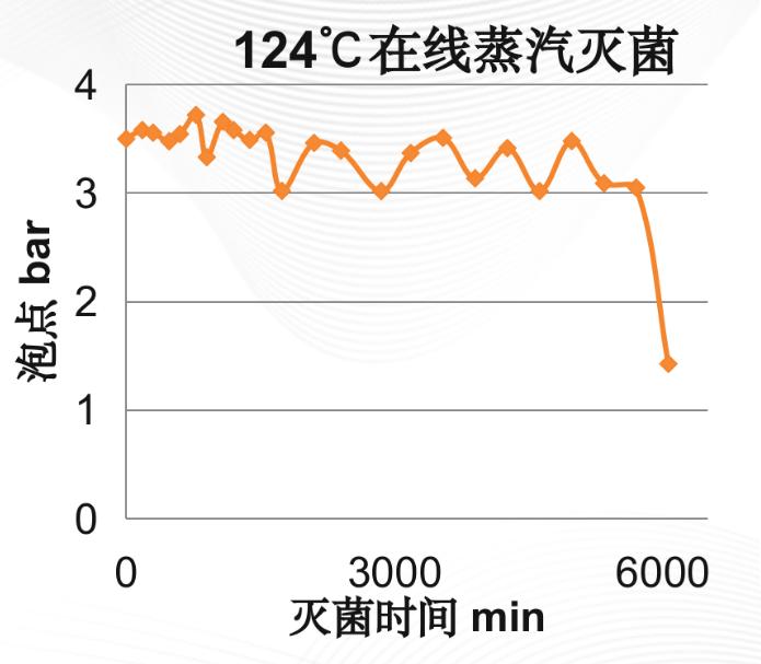 親水性PES濾芯在線(xiàn)滅菌